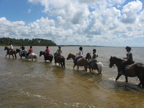 Centre-Equestre-du-Cardin