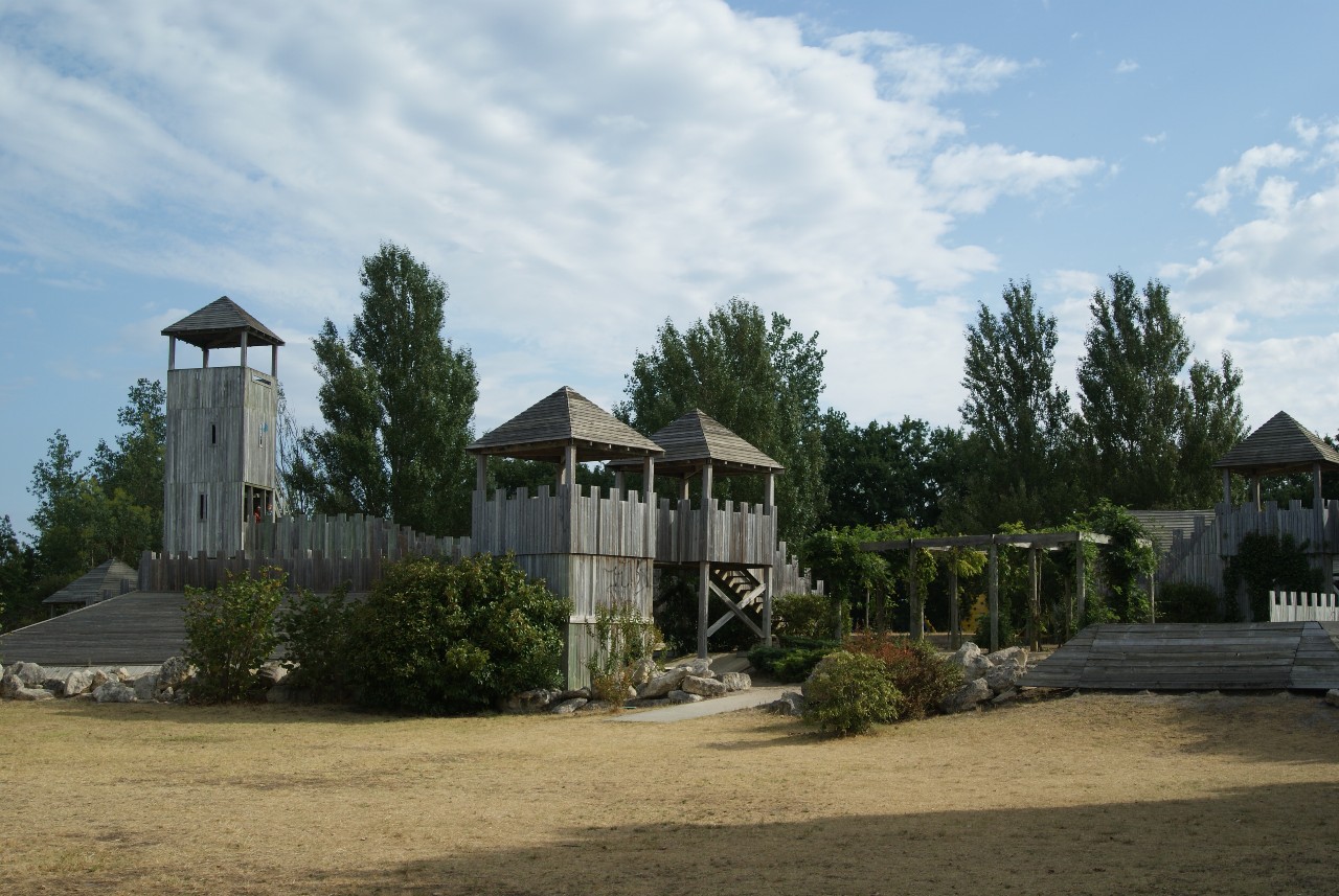 DSC08162