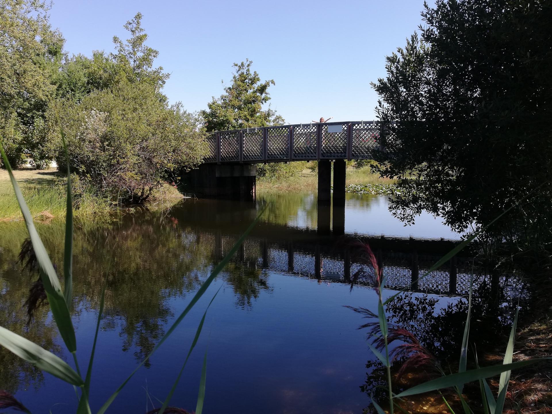 pont de l' île aux enfants