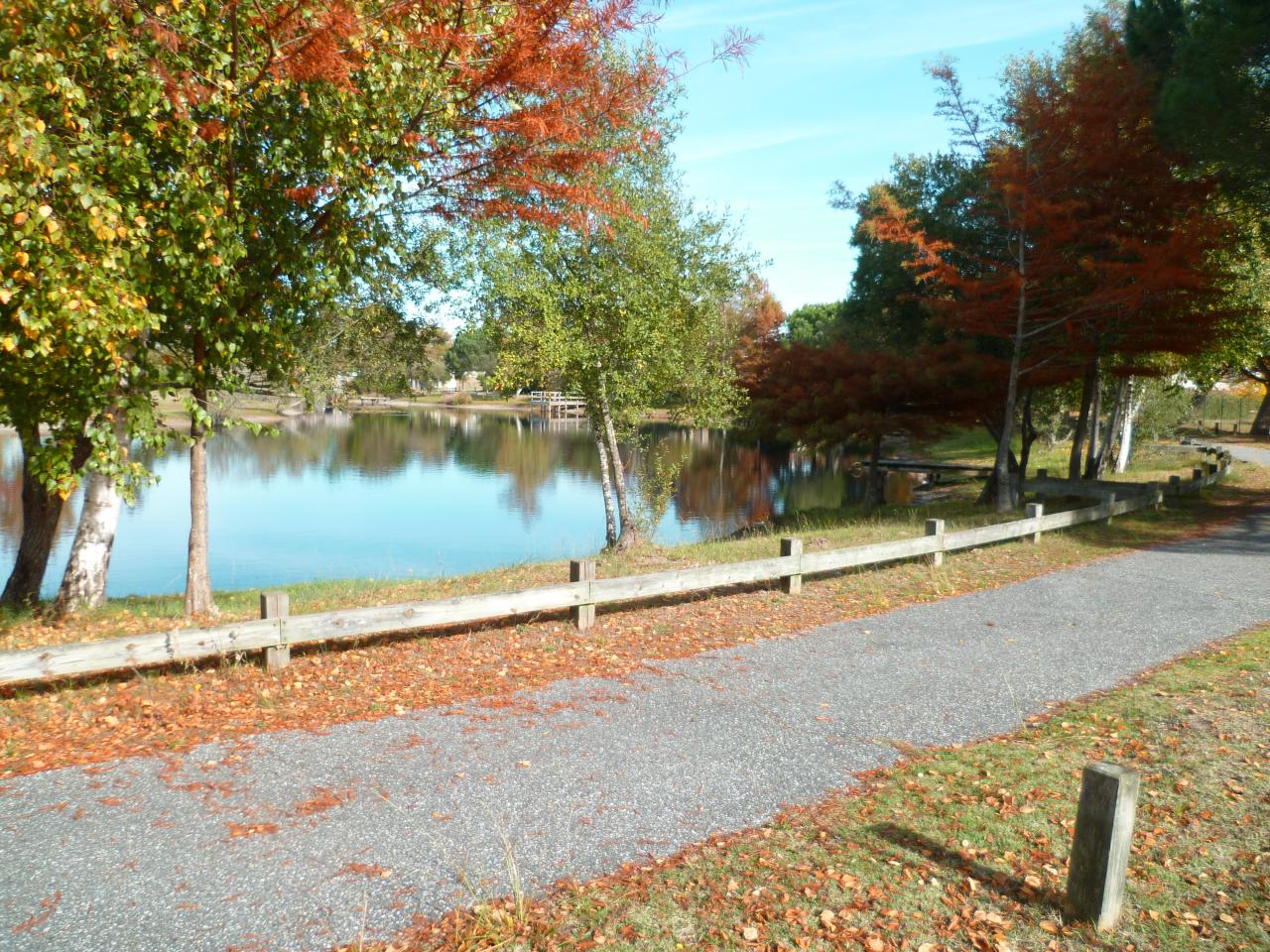 vue de la terrasse automne