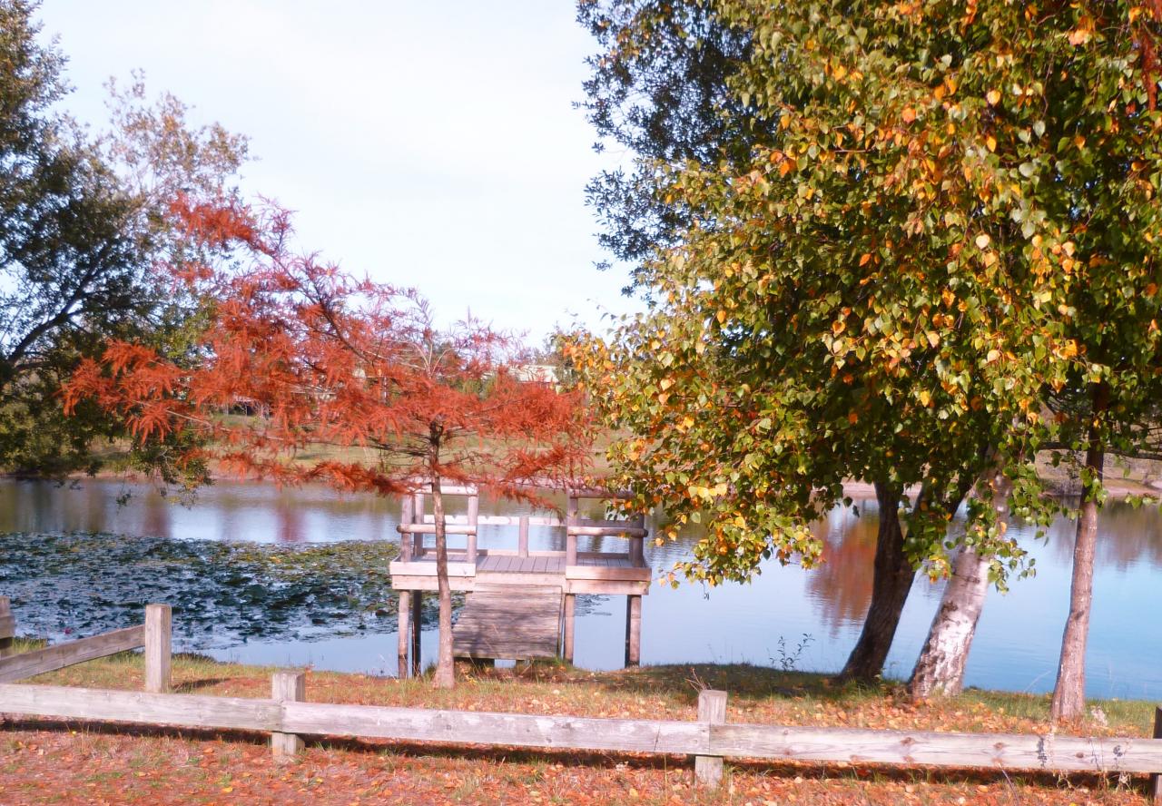 vue de la terrasse automne
